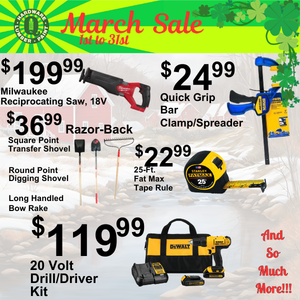 Items on sale in March